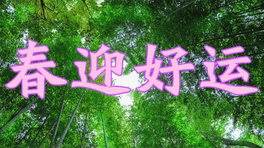 《好运送给你》LRC歌词 《好运送给你》(杨孟茜)歌词555uuu下载