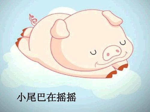 《小尾巴》LRC歌词 《小尾巴》(奚佐佐&陈智平)歌词555uuu下载