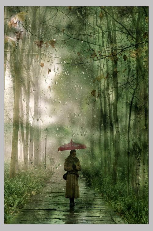 《雨中回忆起了你》LRC歌词 《雨中回忆起了你》(空和弦)歌词555uuu下载