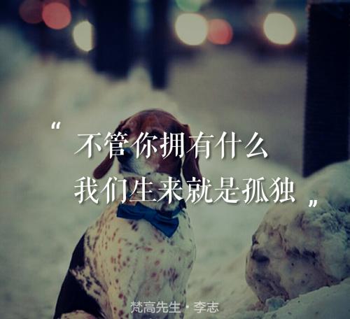 《我们生来就是孤独》LRC歌词 《我们生来就是孤独》(卢庚戌)歌词555uuu下载