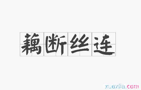 《新藕断丝连》LRC歌词 《新藕断丝连》(时嘉)歌词555uuu下载
