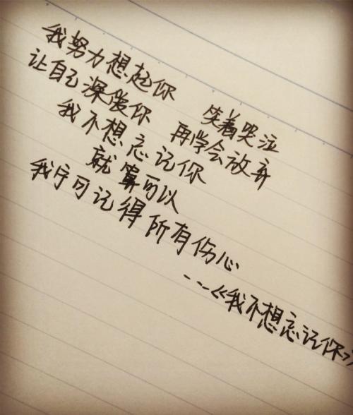 《好想忘记你》LRC歌词 《好想忘记你》(望海高歌)歌词555uuu下载