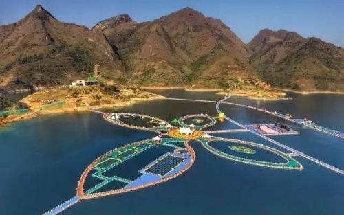 《高原千岛湖》LRC歌词 《高原千岛湖》(代林)歌词555uuu下载