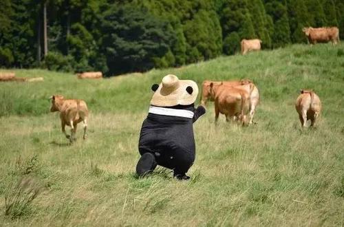 《追梦》LRC歌词 《追梦》(厉,智,敏)歌词555uuu下载