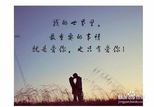 《不爱你的人不要爱》(宋孟君、刘羽晟)歌词555uuu下载