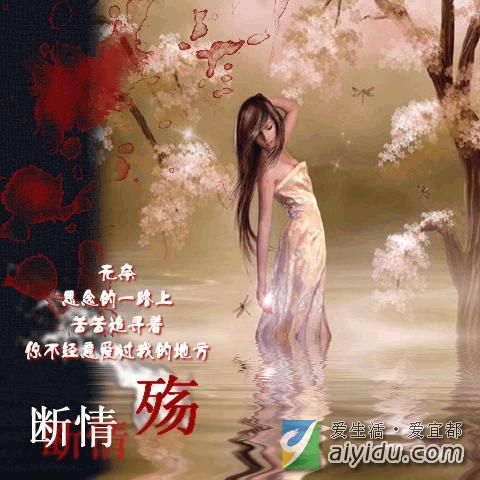 《难断情殇》LRC歌词 《难断情殇》(望海高歌)歌词555uuu下载
