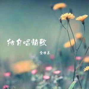 《独自唱情歌》LRC歌词 《独自唱情歌》(庄心妍)歌词555uuu下载