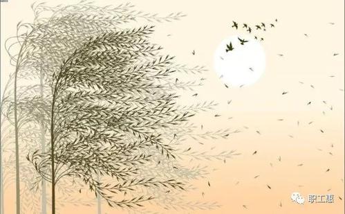 《风往哪里吹》LRC歌词 《风往哪里吹》(张晓明)歌词555uuu下载