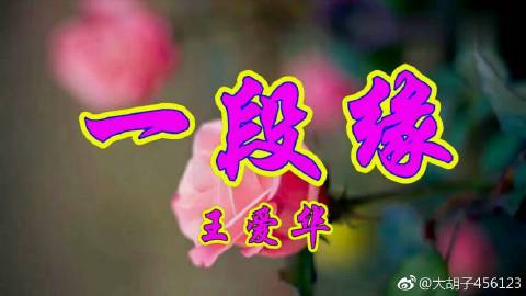 《一段缘》LRC歌词 《一段缘》(望海高歌)歌词555uuu下载