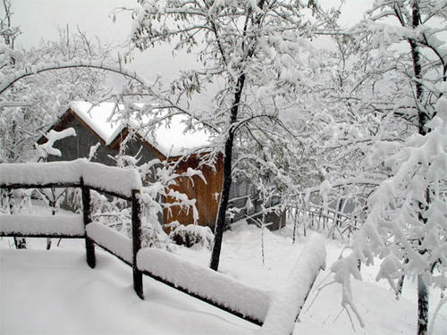 《大雪纷飞》(望海高歌)歌词555uuu下载