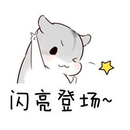 《闪亮登场》LRC歌词 《闪亮登场》(乌拉呆)歌词555uuu下载