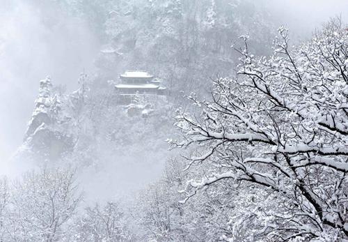 《飞雪》(冬子)歌词555uuu下载