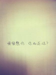 《很皮很想你》LRC歌词 《很皮很想你》(小峰峰(陈峰)、阿布)歌词555uuu下载