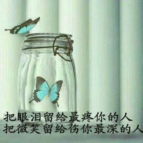 《被爱射伤的鸟》LRC歌词 《被爱射伤的鸟》(黑龙)歌词555uuu下载