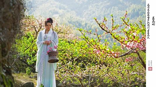 《葬花》LRC歌词 《葬花》(王媛渊)歌词555uuu下载