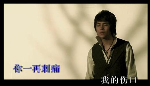 《为什么你要伤害一个爱你的人》LRC歌词 《为什么你要伤害一个爱你的人》(欢,子)歌词555uuu下载