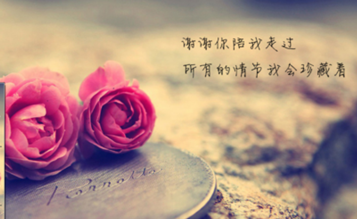 《如果再多一天》LRC歌词 《如果再多一天》(陈红)歌词555uuu下载