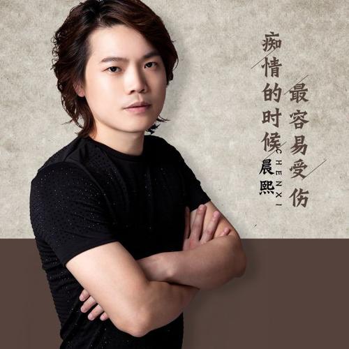 《痴情的时候最容易受伤》LRC歌词 《痴情的时候最容易受伤》(晨熙)歌词555uuu下载
