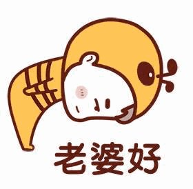 《我的好老婆》LRC歌词 《我的好老婆》(胡大亮)歌词555uuu下载
