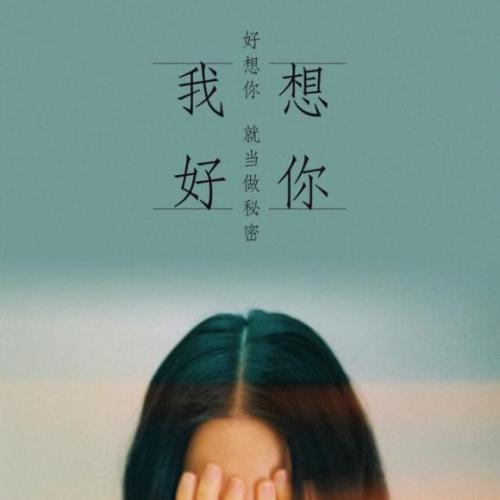 《我走以后》LRC歌词 《我走以后》(小男)歌词555uuu下载