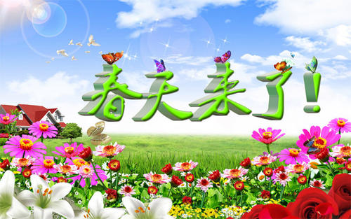 《你的春天我来过》LRC歌词 《你的春天我来过》(姜姿伢)歌词555uuu下载