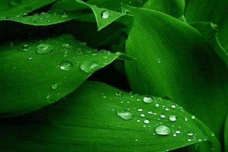《泪的小雨》LRC歌词 《泪的小雨》(费玉清)歌词555uuu下载