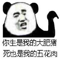 《生是我的人》LRC歌词 《生是我的人》(童波)歌词555uuu下载