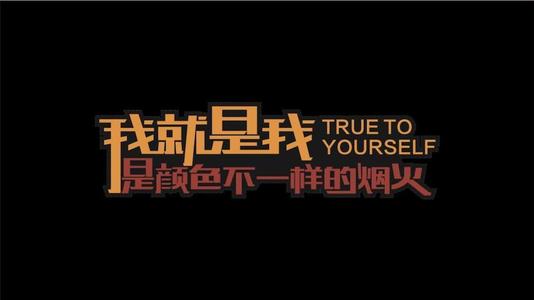 《我就是我 不一样的烟火》LRC歌词 《我就是我 不一样的烟火》(带泪的鱼)歌词555uuu下载