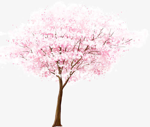 《樱树花》LRC歌词 《樱树花》(胡艾彤)歌词555uuu下载