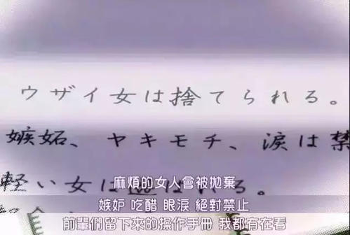 《傻女人》LRC歌词 《傻女人》(傅薇)歌词555uuu下载