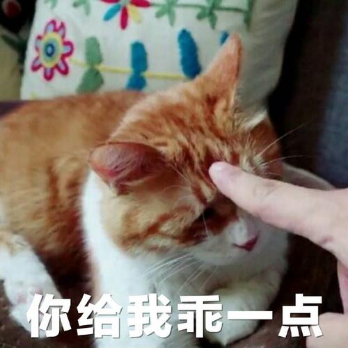 《我的乖》LRC歌词 《我的乖》(王筝)歌词555uuu下载
