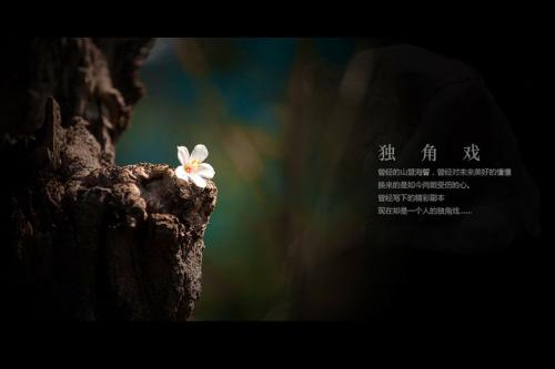 《独角戏》LRC歌词 《独角戏》(夏婉安)歌词555uuu下载