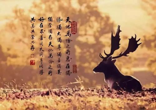 《我今生爱人是你》LRC歌词 《我今生爱人是你》(何龙雨)歌词555uuu下载