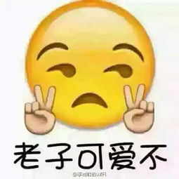 《老子硬是好想哭》LRC歌词 《老子硬是好想哭》(衣湿)歌词555uuu下载