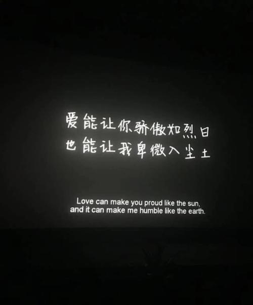 《真的无法原谅你》LRC歌词 《真的无法原谅你》(望海高歌)歌词555uuu下载