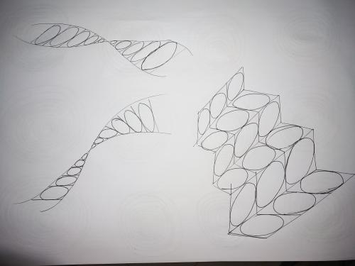 《初学者》(薛之谦)歌词555uuu下载