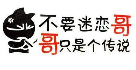 《不要迷恋哥》(纪晓斌)歌词555uuu下载