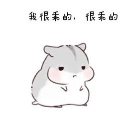 《我很乖》LRC歌词 《我很乖》(甘萍)歌词555uuu下载