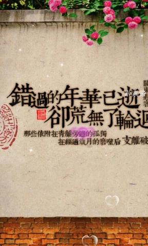 《我们彼此错过的年华》LRC歌词 《我们彼此错过的年华》(王铮亮)歌词555uuu下载