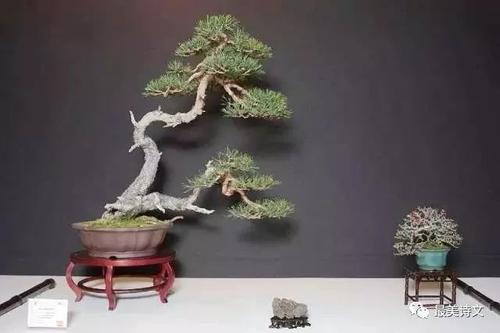 《与你有染》LRC歌词 《与你有染》(子煜)歌词555uuu下载
