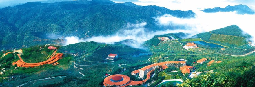 《雁南飞》LRC歌词 《雁南飞》(童丽,王浩)歌词555uuu下载