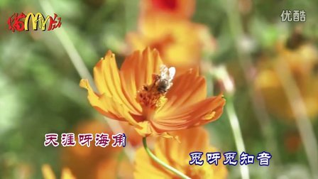 《叹十声 天涯歌女 四季歌》LRC歌词 《叹十声 天涯歌女 四季歌》(邓丽君)歌词555uuu下载