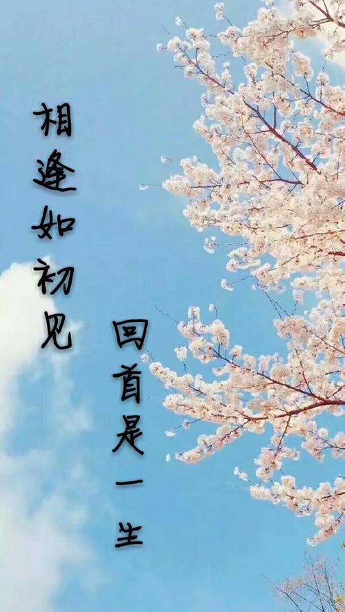 《但愿你了解》(王杰)歌词555uuu下载