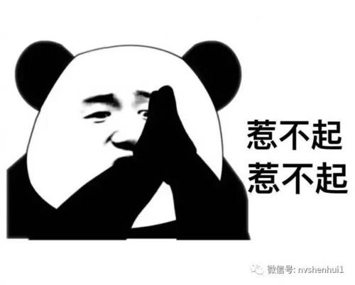 《打死不联络》LRC歌词 《打死不联络》(雪无影)歌词555uuu下载