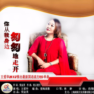《你从我身边匆匆地走开》LRC歌词 《你从我身边匆匆地走开》(乔玲儿)歌词555uuu下载