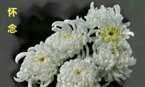 《缅怀》LRC歌词 《缅怀》(陈志朋)歌词555uuu下载