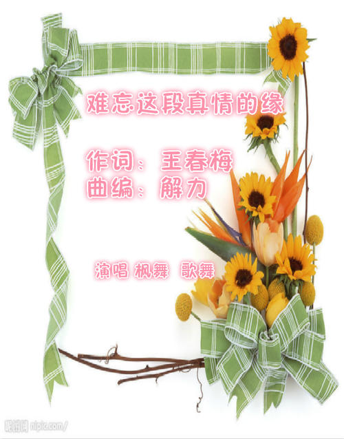 《难忘这段真情的缘》LRC歌词 《难忘这段真情的缘》(枫舞)歌词555uuu下载