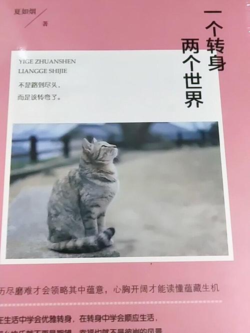 《一个转身两个世界》LRC歌词 《一个转身两个世界》(夏天Alex)歌词555uuu下载
