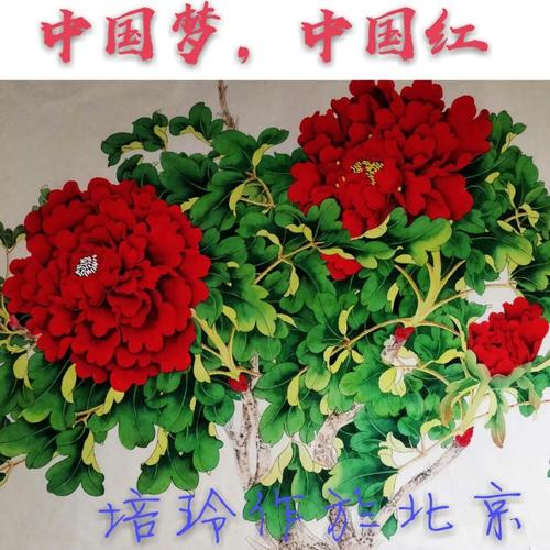 《牡丹开遍中国香》(姚知含)歌词555uuu下载
