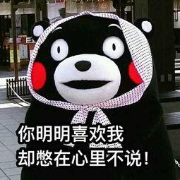 《明明喜欢我》LRC歌词 《明明喜欢我》(陈雅森)歌词555uuu下载
